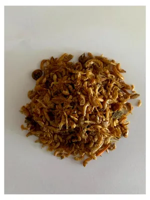 Produktbild von KCS Protein Teichfischfutter 2,5l 340g Zusatzfutter und Leckerli für Koi, Teich- und Zierfische