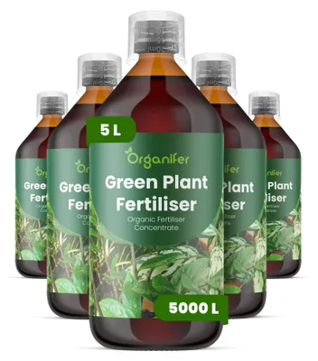 Obrázok produktu pre Green Plant, tekuté hnojivo, 5 x 1 liter – vzorec NPK 2-1-8 – pre zelené rastliny – podporuje bohatú vegetáciu a silný rast – organické