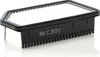 Immagine prodotto di Filtro aria MANN-FILTER C 25 013