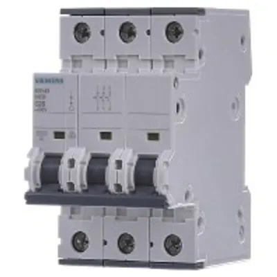 Obrázek produktu pro Siemens 5SY4325-7, IP20