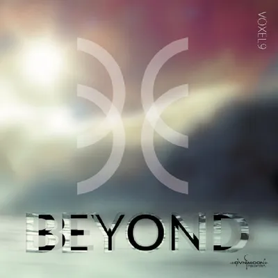 Produktbild von Voxel 9 - Beyond