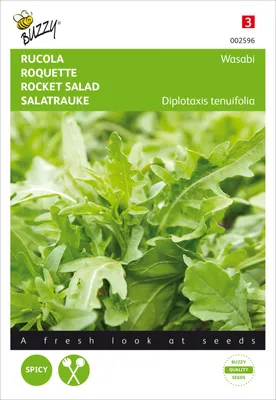 Produktbild von Salatrauke Rucola Wasabi | Raukesamen von Buzzy Seeds