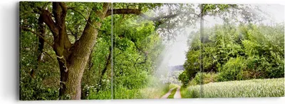 Produktbild von Bild auf Leinwand - Leinwandbild - Pfad Natur Wald Grün - 90x30cm - Wand Bild - Wanddeko - Leinwanddruck - Bilder - Kunstdruck - Wanddekoration - Leinwand bilder - Wandkunst - CA90x30-2637