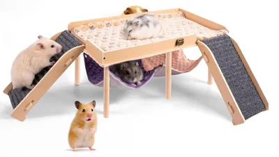 Produktbild von Mehrstöckiges Meerschweinchenhaus mit Hängematte für kleine Tiere
