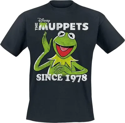 Produktbild von The Muppets T-Shirt Herren Kermit Since 1978 schwarz 3XL