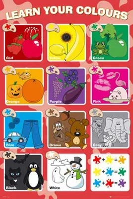 Produktbild von Educational - Bildung - Poster - Colours