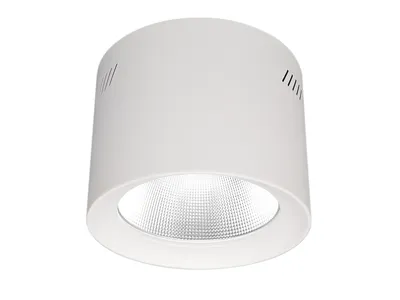 Zdjęcie produktu dla Lampa Downlight Tuba Natynkowa 20W 3000-5700K IP64 Spot Okrągły