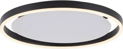 Produktbild von LED Deckenleuchte, anthrazit, dimmbar, D 39,3 cm