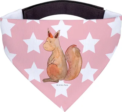 Produktbild von Mr. & Mrs. Panda Schal Für Hunde Einhorn Glauben - Rot Pastell - Geschenk, Bandana, Einhörner, Hundeschal, Eichhorn, Hundehalstuch, Halstuch, Einhörnchen, Eichhörnchen