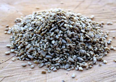 Produktbild von 25kg Futterbauer Sonnenblumenkerne Bruch Ernte 2025 Vogelfutter