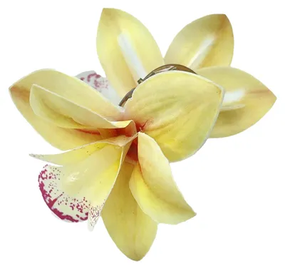 Produktbild von Haarnadel aus weichem Stoff mit realistischem Orchideen-Design, leichte und rutschfeste Haarspange