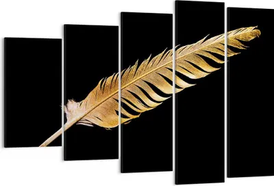 Produktbild von Bild auf Leinwand - Leinwandbild - 5 Teile - Golden Feder Schwarz - 150x100cm - Wand Bild - Wanddeko - Wandbilder - Leinwanddruck - Bilder - Wanddekoration - Leinwand bilder - EG150x100-4887