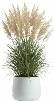 Immagine prodotto di HowHomely | Vaso per piante - Fioriera - bianco - L35xH30 cm - Coprivaso - Vaso da fiori - Facile da pulire