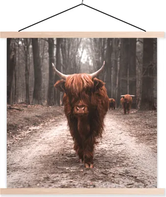 Produktbild von MuchoWow® Textilposter Schottisches Hochlandrind - Wald - Kuh - Tiere - Natur 60x60 cm mit holzfarbenen Rahmen - Wanddekoration