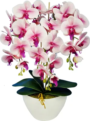 Produktbild von Kunstpflanze Damich 3pgrj künstliche Orchidee im Blumentopf Kunstblume Dekoration Pflanze Blume Höhe ca. 60cm
