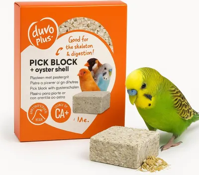 Zdjęcie produktu dla DUVO+ Blok Wapienny z Muszlami Ostrygi 200g - Mineralny Blok Dla Papug