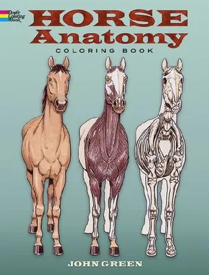 Produktbild von Horse Anatomy