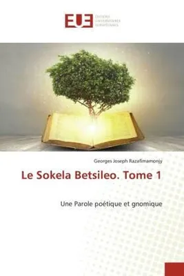 Produktbild von Le Sokela Betsileo. Tome 1