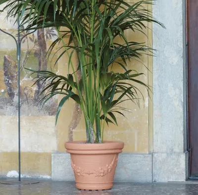 Produktbild von Pflanzgef.elios 35X28  Terra Vt3528T