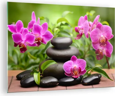 Produktbild von Bilder auf glas - Blumen Steine Bambus Dekoration - 70x50cm - Glasbilder - Wandbilder - Kunstdruck - zum Aufhängen bereit - Wanddekoration aus Glas - Glas Bilder - Wandbild auf Glas - GAA70x50-2687