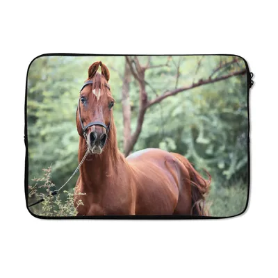 Produktbild von MuchoWow® Laptop Hülle 13 Zoll Pferd - Wald - Halfter Laptoptasche - Laptophülle - Sleeve - Rundumschutz