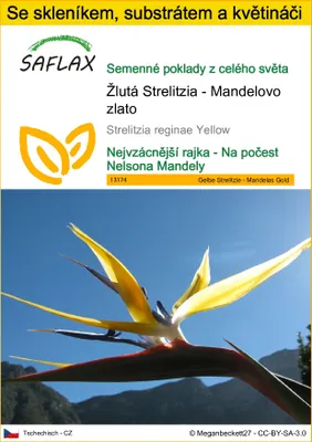 Obrázek produktu pro SAFLAX Kultivační sada - Žlutá Strelitzia - Mandelovo zlato - Strelitzia reginae Yellow - 4 Semena - S mini skleníkem, pěstebním substrátem a 2 květináči