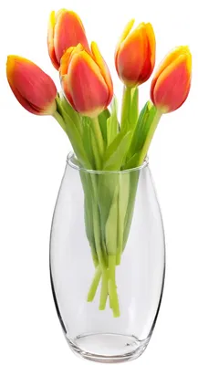 Produktbild von Alessandro Blumenvase klassisch - transparentes Glas - 17 x 30 cm - Zylindermodell - Blumenstrausvas