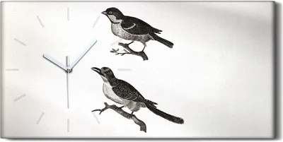 Produktbild von Wandbild Leinwand Bilder Wanduhr 60x30 Zeichnung Tier Vogel Zweig Kunst - weiße Hände