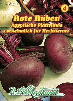 Artikelbild 1 von 'Rote Rübe Ägyptische Plattrunde' aus der Kategorie Rote Beetesamen