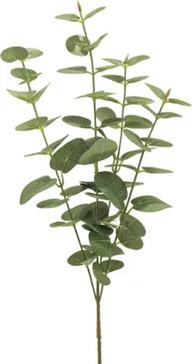 Produktbild von artplants.de Künstlicher Zweig Eukalyptus MINJIA, grün-grau, 65 cm - Eukalyptuszweig künstlich