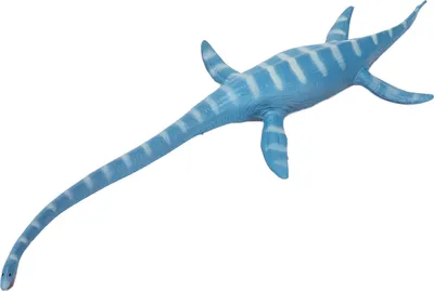 Immagine prodotto di Dinosauro realistico giocattolo Modello di Thalassomedon in plastica Giocattolo per l'apprendimento precoceThalassomedon