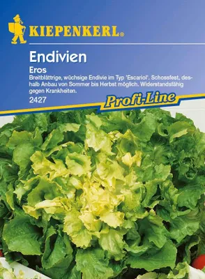 Produktbild von KIEPENKERL Salat Endivien- Eros