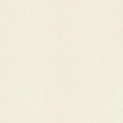 Produktbild von Rasch Vliestapete Welcome Home 441666 Uni Einfarbig Tapete 10.05 x 0.53 m Creme Wohnen Schlafen Flur Eingangsbereich