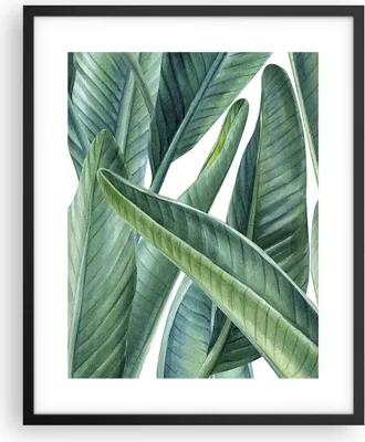 Produktbild von Gerahmtes Poster - Schwarzer Rahmen - Exotisch Blätter Grün - 40x50 cm - Wand Bild - Wanddeko - Wandbilder - Kunstposter - Wandposter - Bilderrahmen - Bilder - Kunstdruck - Wandbild - P2BPA40x50-4258