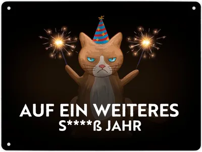 Produktbild von Mürrische Katze auf ein weiters s****ß Jahr Metallschild XL in 21x28 cm
