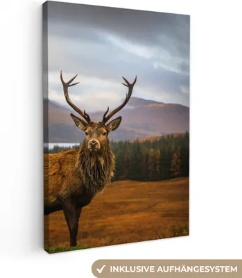 Produktbild von MuchoWow® - Leinwandbilder - Hirsche - Berge - Wasser - Landschaft - Tiere - Bäume, Wandbild, Wanddeko Bilder Wohnzimmer, 80x120 cm