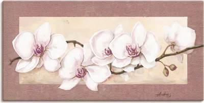 Produktbild von ARTland Leinwandbild Orchideenzweig_in Beerentönen Größe: 150x75 cm