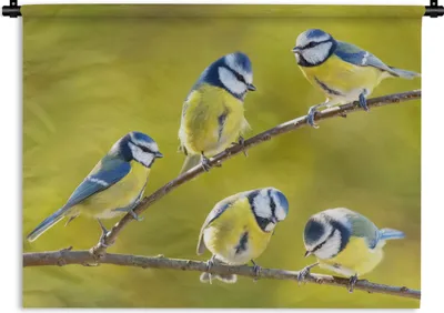 Produktbild von MuchoWow® Wandteppich Wandbehang Vogel - Blaumeise - Äste - Sonne 60x45 cm Tapisserie Dekoration Wandtuch - Das Schlafzimmer
