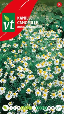 Immagine prodotto di Semi veri di camomilla - circa 0,5 gr | VT_2945