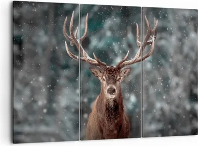 Produktbild von Bild auf Leinwand - Leinwandbild - 3 Teile - Hirsch Hirsch Winter - 105x70cm - Wand Bild - Wanddeko - Wandbilder - Leinwanddruck - Bilder - Wanddekoration - Leinwand bilder - Wandbild - CE105x70-4998