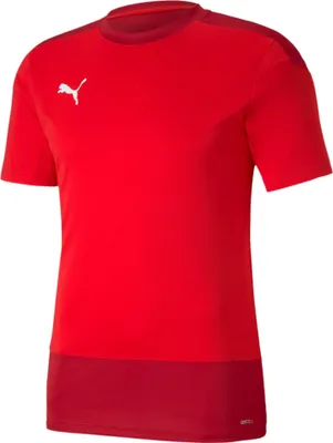 Produktbild von Puma GOAL 23 Trainingstrikot Herren grau Gr M
