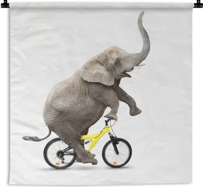 Produktbild von MuchoWow® Wandteppich Wandbehang Elefant - Fahrrad - Weiß 150x150 cm Tapisserie Dekoration Wandtuch - Wohnaccessoires - Modernes