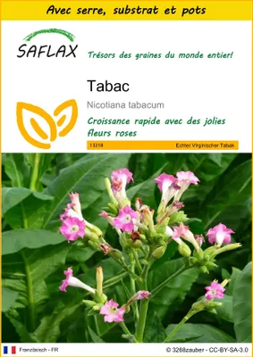 Image de SAFLAX Ensemble de culture - Tabac - 250 graines - Nicotiana
