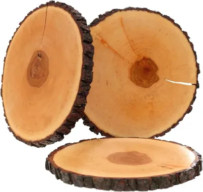 Productafbeelding van Schorsplank Essenhout - Boomschijf Serveerplank - Hapjes Presenteren -gecertificeerd Hout - Ø ca. 26cm - Natuurlijk Hout