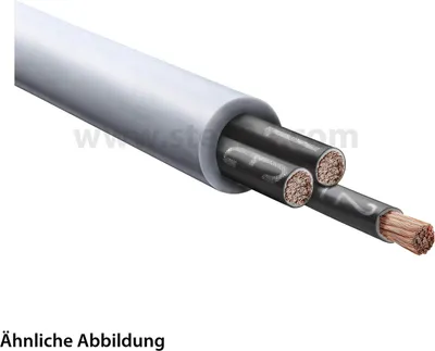 Image de 1119753/100 LAPP ÖLFLEX Classic 110 3 x 0,5 mm² diamètre extérieur 5,1 mm tension nominale Uo/U 300 V/500 V - 1 mètre