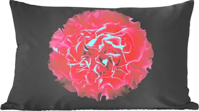 Produktbild von MuchoWow® Zierkissen Sofakissen Wohnzimmer Dekokissen 60x40 cm Blume - Nelke - Rosa - Kopfkissen - Polster mit Foto
