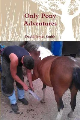 Produktbild von Only Pony Adventures