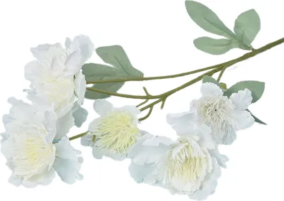 Produktbild von Keine Bewässerung künstlicher Blumen dekorative frische Blumenarrangement-Weiß