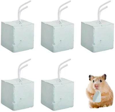 Image de Nettoyant minéral pour les dents des animaux de compagnie - 5 pièces - Pour les lapins et les hamsters - Hygiène bucco-dentaire