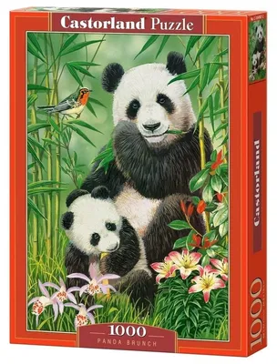 Image de Puzzle 1000 pièces Panda Brunch Castorland 104987